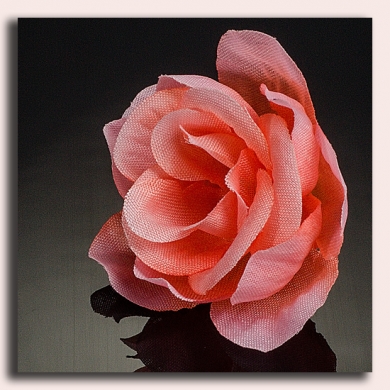 Róża główka 12 szt 4 cm Coral